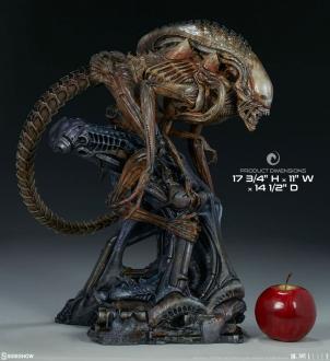 Alien Maquette Alien Warrior - Mythos 45 cm