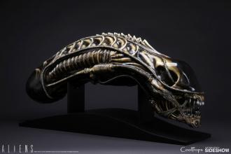 Aliens Replica 1/1 Alien Warrior Head 45 cm