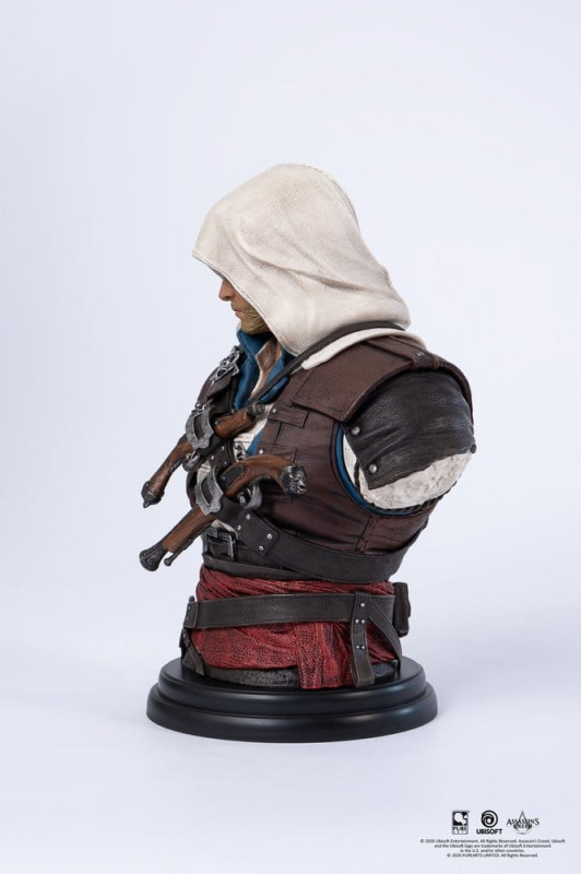 Assassin´s Creed Bust 1/4 Edward 2