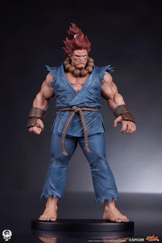 Street Fighter PVC Statues 1/10 Akuma & Dhalsim 21 cm