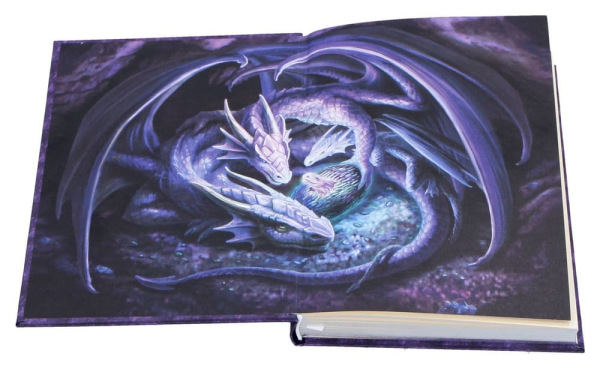Anne Stokes Journal Welcome Hatchling A5 18 cm 4