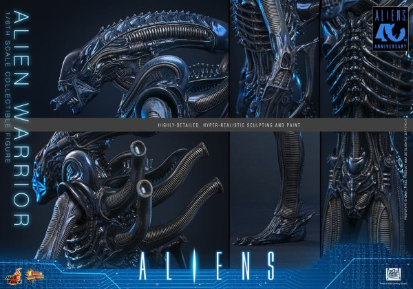 Alien Movie Masterpiece Action Figure 1/6 Alien Warrior 39 cm 12