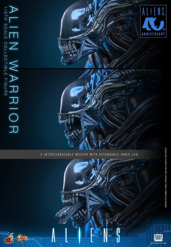 Alien Movie Masterpiece Action Figure 1/6 Alien Warrior 39 cm 11
