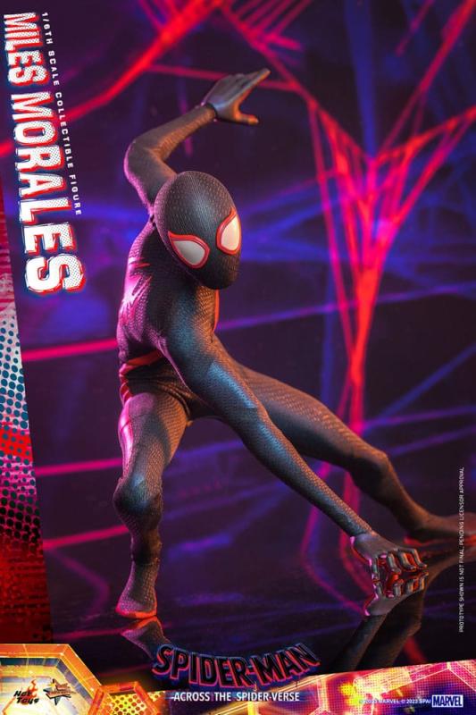 Spider-Man Across the Spider-Verse: Miles Morales 1/6 Action Figure - Hot Toys