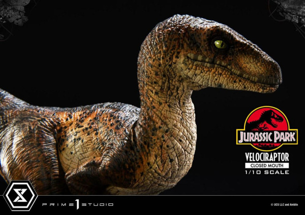 Jurassic Park Prime Collectibles Statue 1/10 Velociraptor Closed Mouth 19 cm 6