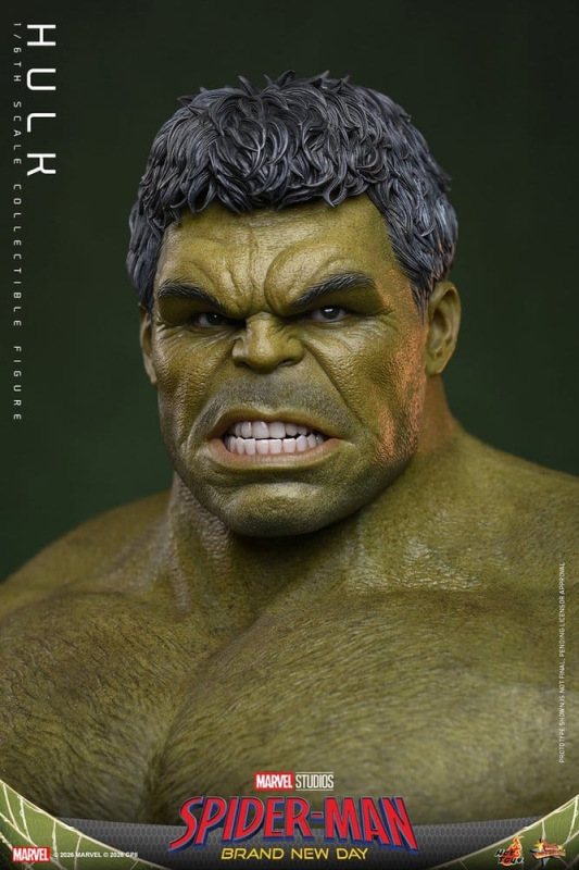 Marvel Action Figure 1/6 Hulk 51 cm 2