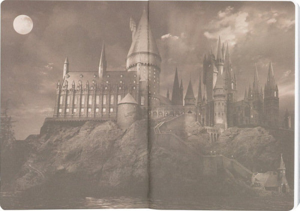 Harry Potter Softcover Notebook Ravenclaw 21 cm 7