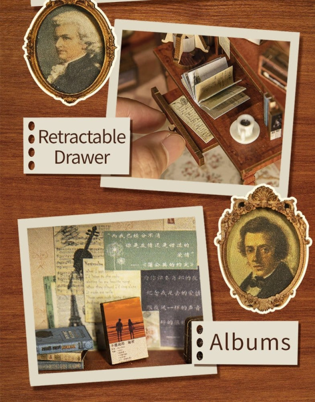 Book Nook The Secret Rhythm 23 x 11 cm 7