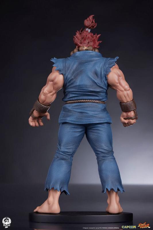 Street Fighter PVC Statues 1/10 Akuma & Dhalsim 21 cm