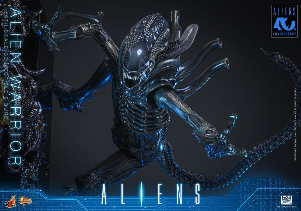 Alien Movie Masterpiece Action Figure 1/6 Alien Warrior 39 cm 7