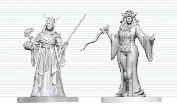 Dungeons & Dragons Nolzur's Marvelous Miniatures Unpainted Miniature Cultist Fanatic & Hierophant 14