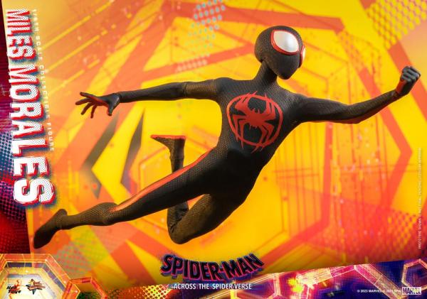 Spider-Man Across the Spider-Verse: Miles Morales 1/6 Action Figure - Hot Toys