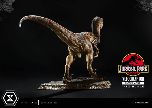 Jurassic Park Prime Collectibles Statue 1/10 Velociraptor Closed Mouth 19 cm 11