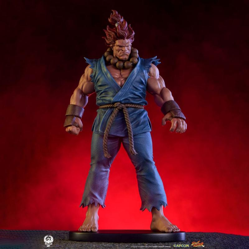 Street Fighter PVC Statues 1/10 Akuma & Dhalsim 21 cm