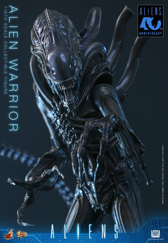 Alien Movie Masterpiece Action Figure 1/6 Alien Warrior 39 cm 3