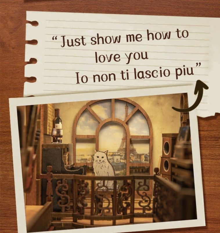 Book Nook The Secret Rhythm 23 x 11 cm 12