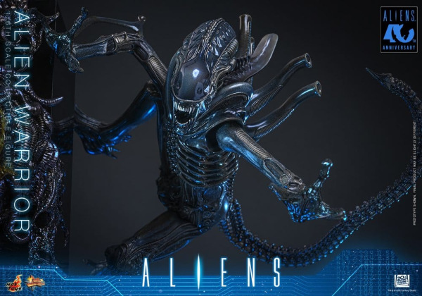 Alien Movie Masterpiece Action Figure 1/6 Alien Warrior 39 cm 8