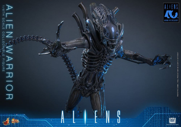 Alien Movie Masterpiece Action Figure 1/6 Alien Warrior 39 cm 5
