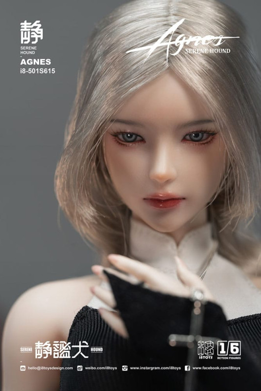 Original Character Action Figure 1/6 Serene Hound "Agnes" 30 cm 8