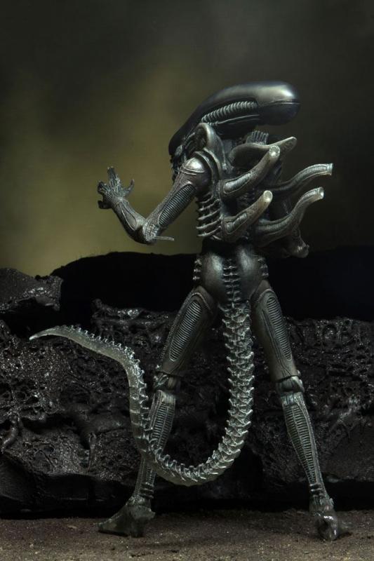 Alien: 40th Anniversary Series 4 Assortment (2) - Figure 18 cm - Neca