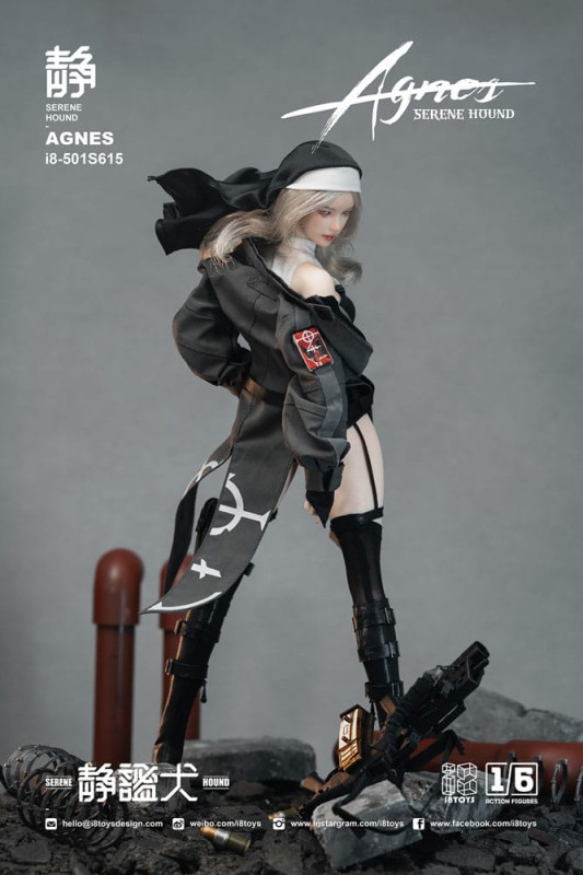 Original Character Action Figure 1/6 Serene Hound "Agnes" 30 cm 10