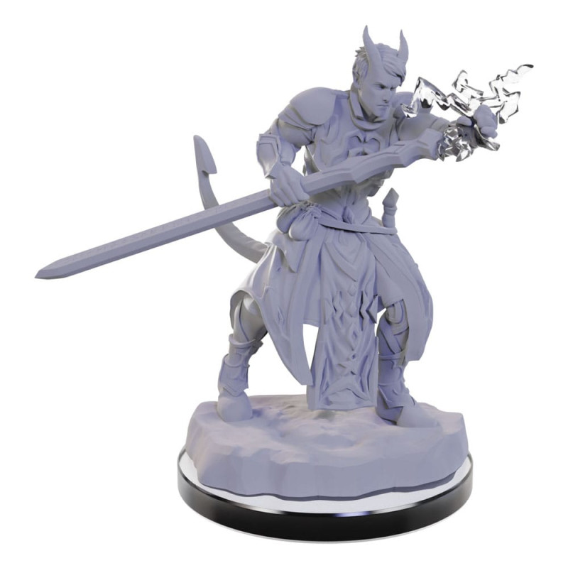 D&D Nolzur's Marvelous Miniatures miniature Unpainted Tiefling Warlocks 4