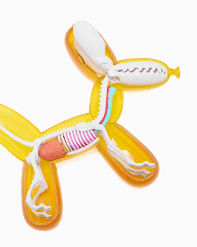 Funny Anatomy Honey Edition Balloon Dog Statue 3