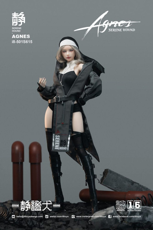 Original Character Action Figure 1/6 Serene Hound "Agnes" 30 cm 4