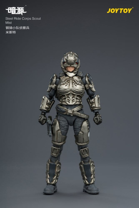 Dark Source Steel Ride Corps Action Figure Scout Mist 8 cm 7