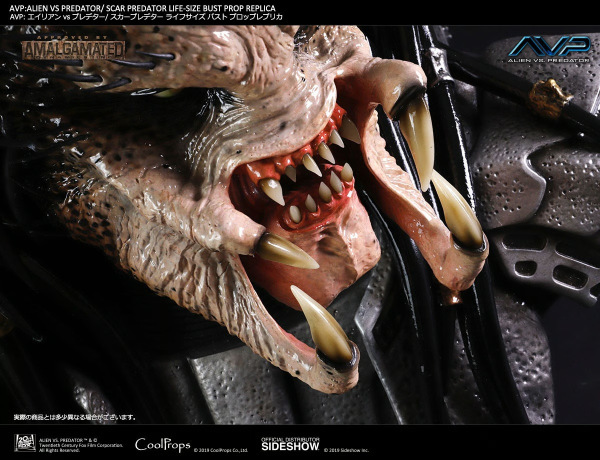 Scar Predator Life-Size Bust - CoolProps 5