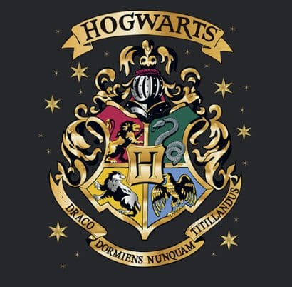 Harry Potter Premium Mug Hogwarts 444 ml 1