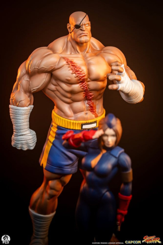 Street Fighter Street Jam Statuen 1/10 Sagat & Juli 24 cm 12