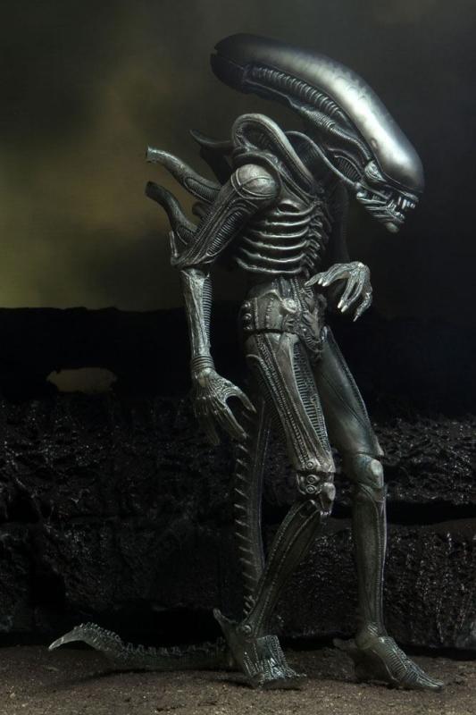 Alien: 40th Anniversary Series 4 Assortment (2) - Figure 18 cm - Neca