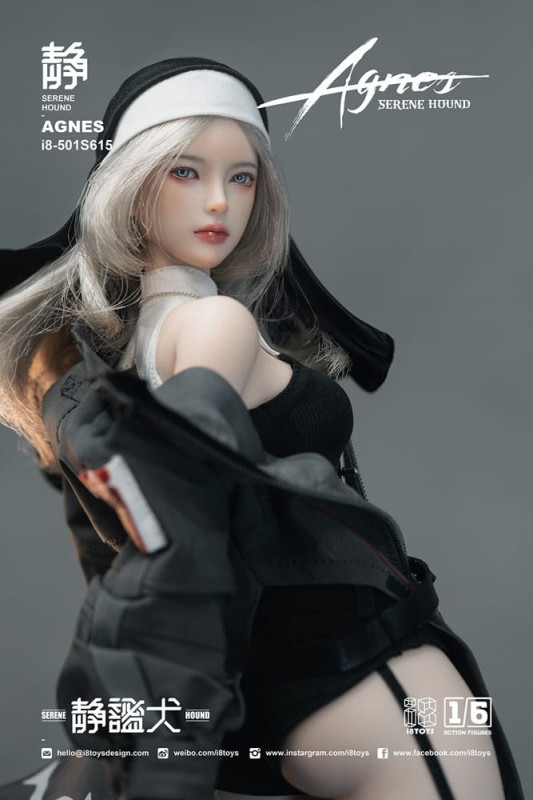 Original Character Action Figure 1/6 Serene Hound "Agnes" 30 cm 9
