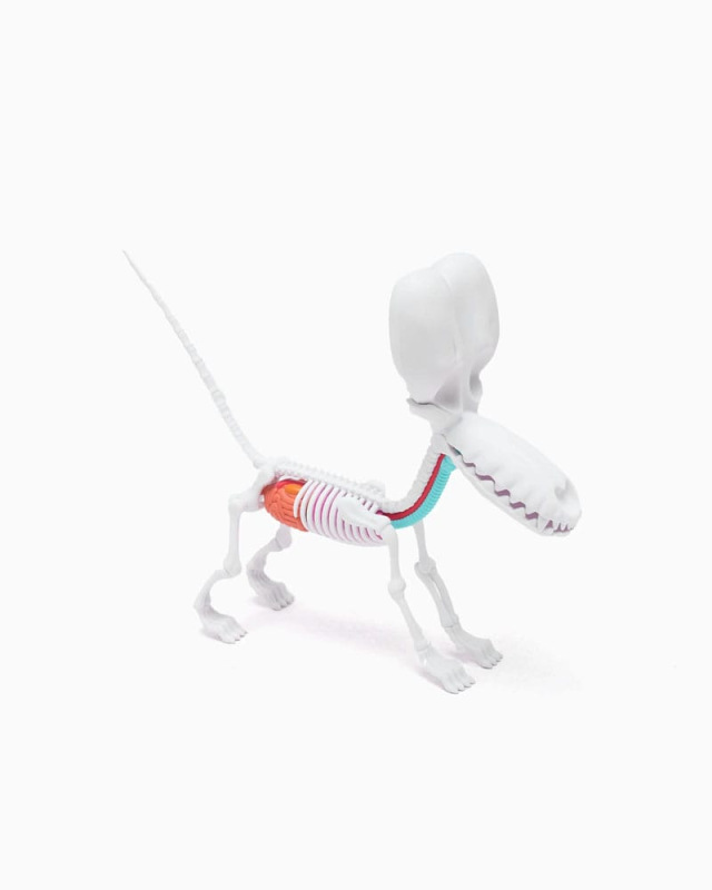 Funny Anatomy Honey Edition Balloon Dog Statue 4