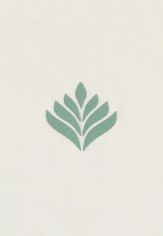 Pokémon Tank Top Bulbasaur Size XL 2