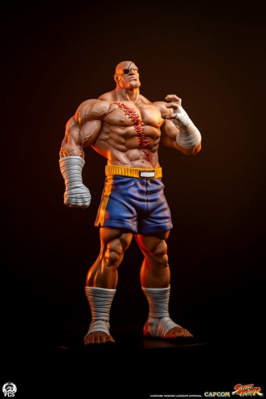 Street Fighter Street Jam Statuen 1/10 Sagat & Juli 24 cm 4