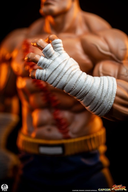 Street Fighter Street Jam Statuen 1/10 Sagat & Juli 24 cm 5