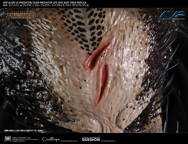 Scar Predator Life-Size Bust - CoolProps 7