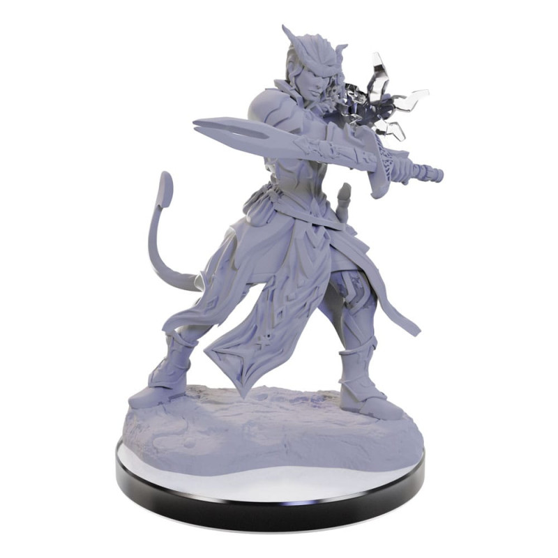 D&D Nolzur's Marvelous Miniatures miniature Unpainted Tiefling Warlocks 2