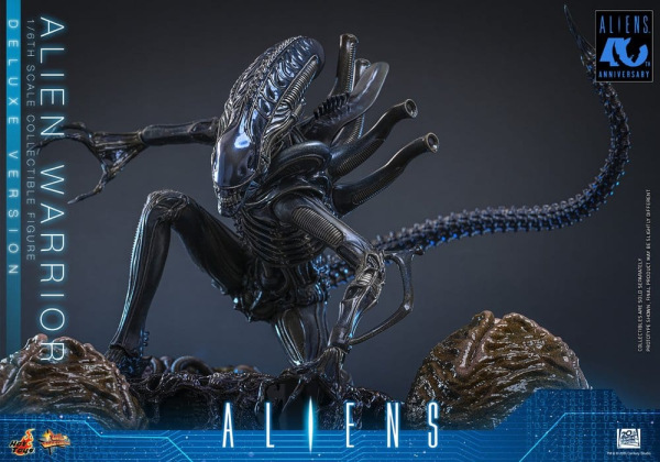 Alien Movie Masterpiece Action Figure 1/6 Alien Warrior (Deluxe Version) 39 cm 8