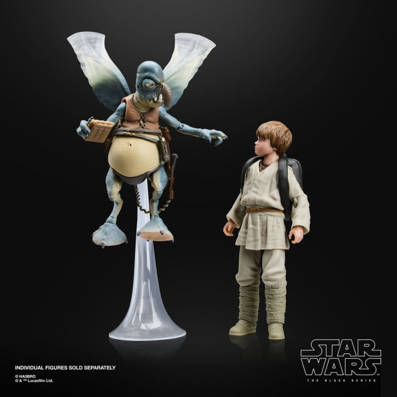Star Wars Episode II Black Series Action Figure Watto 15 cm 10