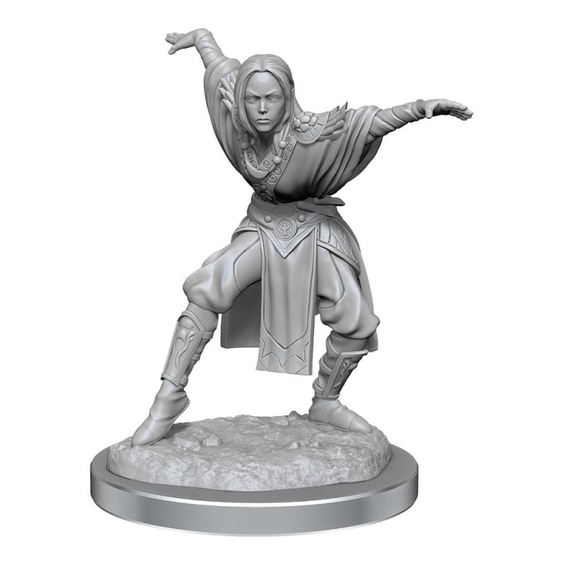 Pathfinder Battles Deep Cuts Unpainted Miniatures 2-Packs Half-Elf Monk Female Case (2)