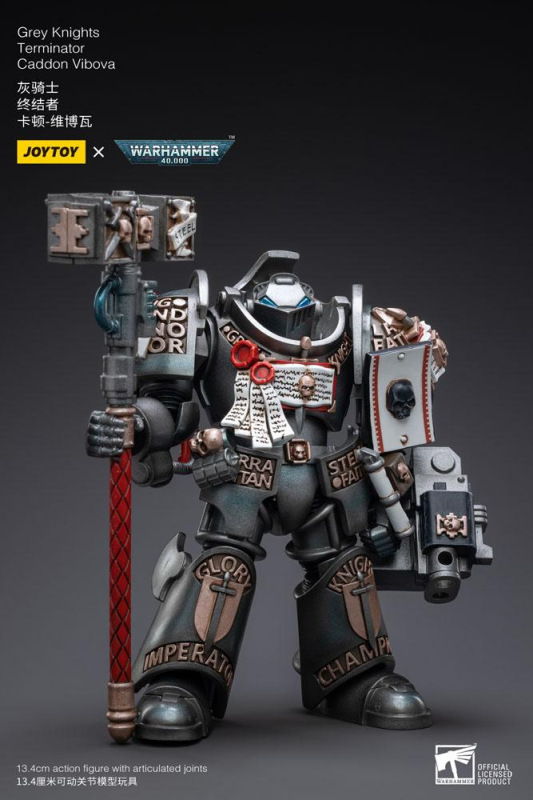 Warhammer 40k Action Figure 1/18 Grey Knights Terminator Caddon Vibova 13 cm 3