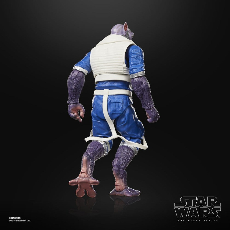 Star Wars: The Mandalorian & Grogu Black Series Action Figure Garazeb “Zeb” Orrelios 15 cm 14