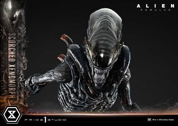 Alien: Romulus Museum Masterline XL Statue 1/3 Scorched Xenomorph 98 cm 13