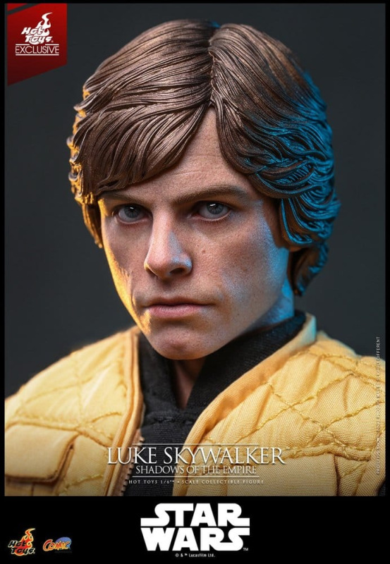 Star Wars Comic Masterpiece Action Figure 1/6 Luke Skywalker (Shadows Of The Empire) (Hot Toys Exclu 6
