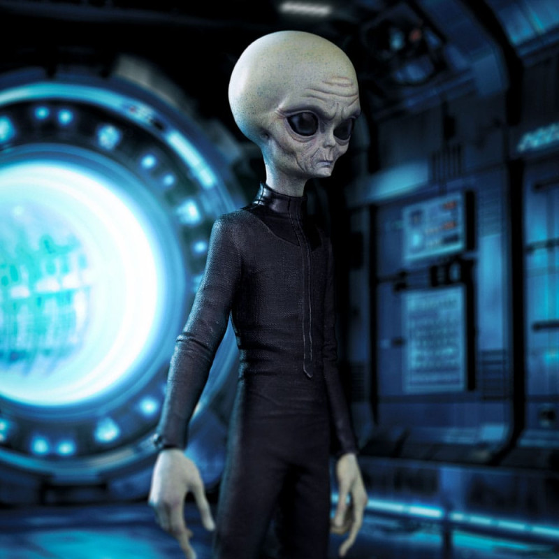 I want to Believe Art Scale Statue 1/10 Alien Grey 21 cm 5