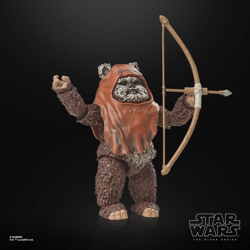 Star Wars Episode VI: Wicket 15 cm 40th Anniversary Black Series Action Figure - Hasbro