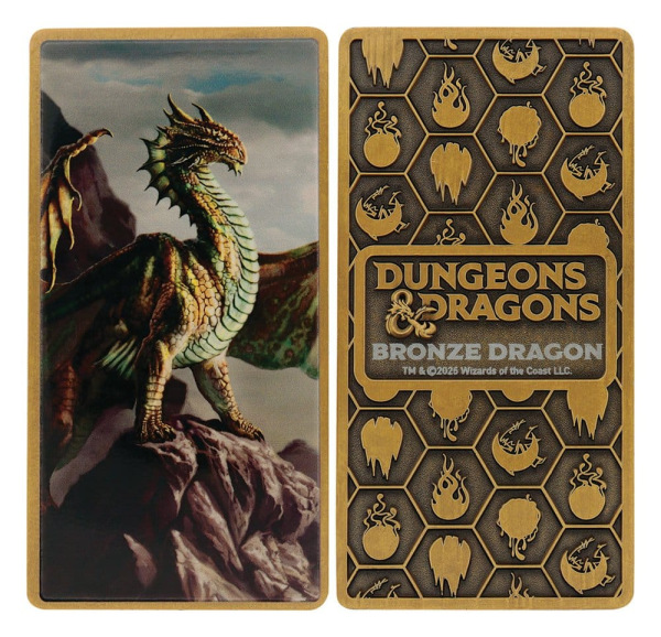 Dungeons & Dragons Ingot Set Magnet Warrior Limited Edition 7